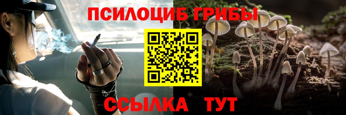 Выкса  Галлюциногенные грибы Psilocybe  Вход с VPN  купить наркотик  Галлюциногенные грибы Psilocybe 